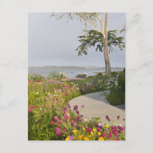 Los Osos und Baywood Park schlossen sich zusammen Postkarte