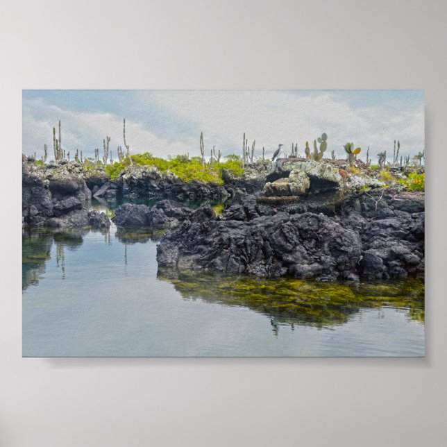 Los Tuneles, Galapagos Inseln, Ecuador Poster (Vorne)