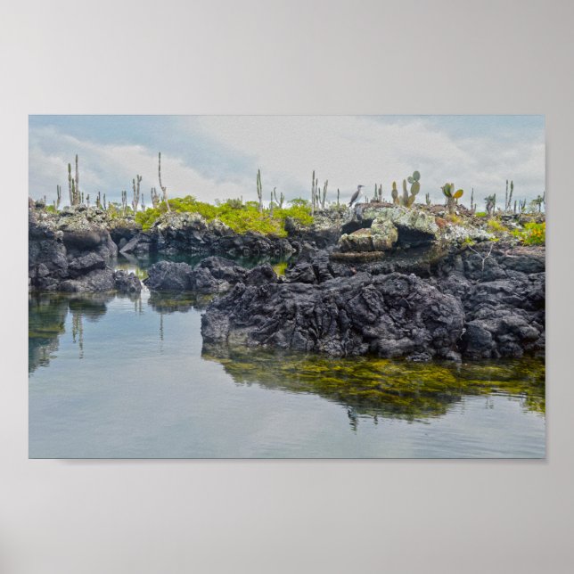 Los Tuneles, Galapagos Inseln, Ecuador Poster (Vorne)