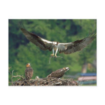 Löschen Sie die Piste.