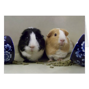 Löschen Sie "Tee-Time-" Karte