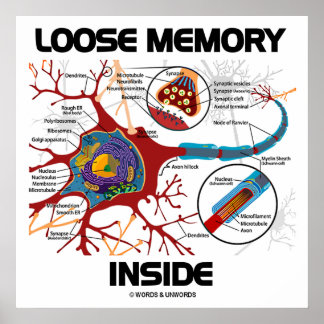Lose Gedächtnisstütze (Neuron/Synapse) Poster
