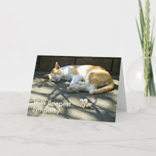 Loss Cat Sympathy Card Karte