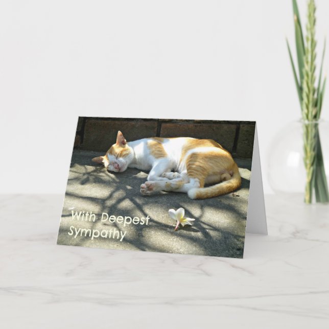 Loss Cat Sympathy Card Karte (Vorderseite)