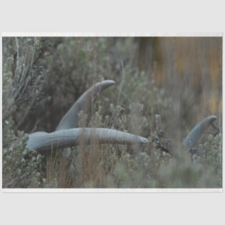 Lost Antlers Seidenpapier