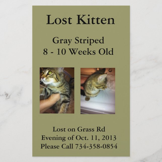 Lost Kitten Flyer (Vorne)