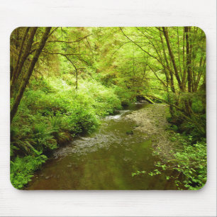 Lost Man Creek I at Redwood National Park Mousepad