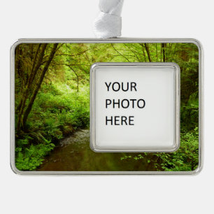 Lost Man Creek I im Redwood National Park Rahmen-Ornament Silber