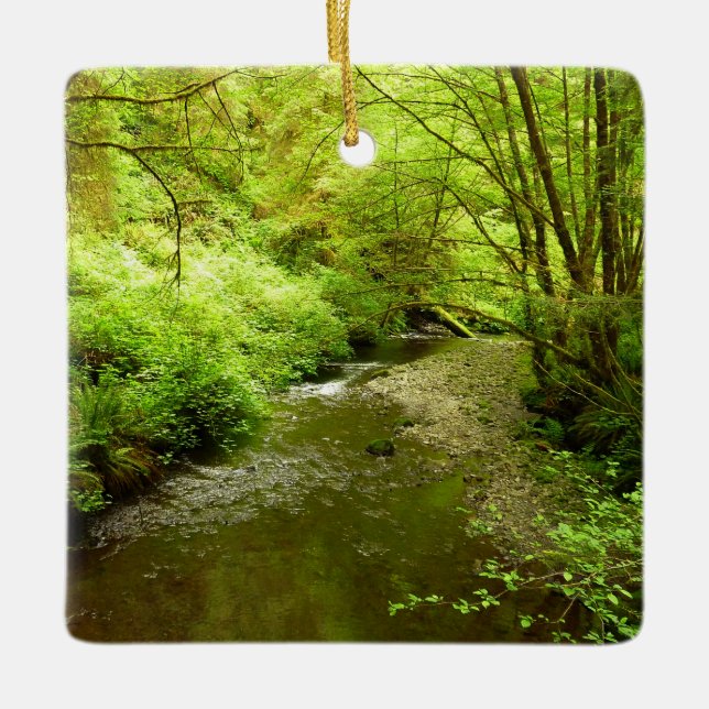 Lost Man Creek I im Redwood Nationalpark Keramikornament (Vorderseite)