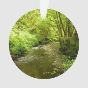 Lost Man Creek I im Redwood Nationalpark Ornament