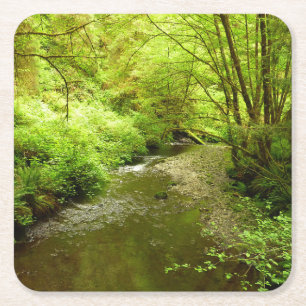 Lost Man Creek I im Redwood Nationalpark Rechteckiger Pappuntersetzer