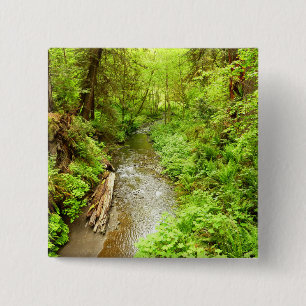 Lost Man Creek II im Redwood National Park Button