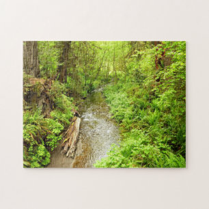 Lost Man Creek II im Redwood National Park Puzzle