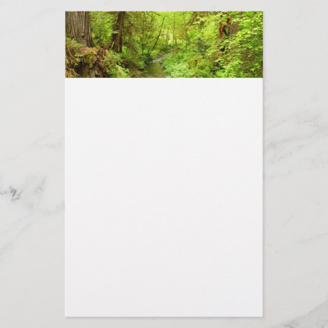 Lost Man Creek II - Redwood Nationalpark Briefpapier (Vorderseite)