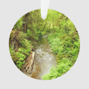 Lost Man Creek II - Redwood Nationalpark Ornament