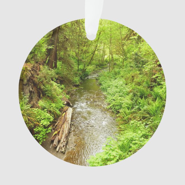 Lost Man Creek II - Redwood Nationalpark Ornament (Vorderseite)