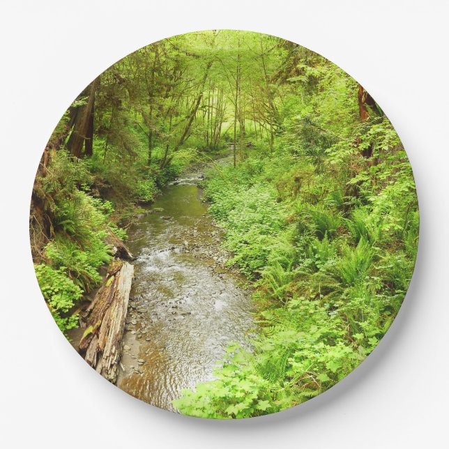 Lost Man Creek II - Redwood Nationalpark Pappteller (Vorderseite)