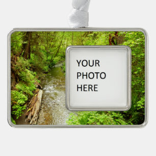 Lost Man Creek II - Redwood Nationalpark Rahmen-Ornament Silber