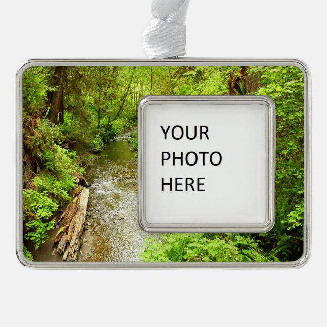 Lost Man Creek II - Redwood Nationalpark Rahmen-Ornament Silber (Vorderseite)