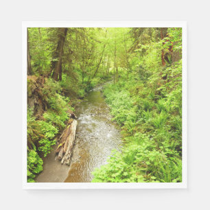 Lost Man Creek II - Redwood Nationalpark Serviette