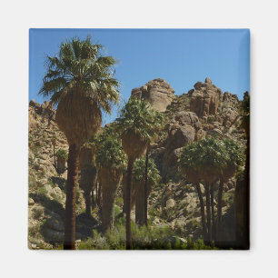 Lost Palms Oasis I at Joshua Tree National Park Magnet