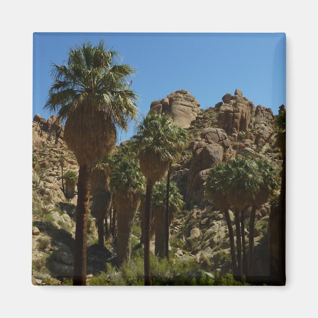 Lost Palms Oasis I at Joshua Tree National Park Magnet (Vorne)