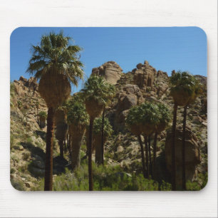 Lost Palms Oasis I at Joshua Tree National Park Mousepad
