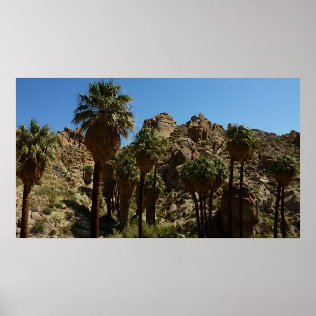 Lost Palms Oasis I at Joshua Tree National Park Poster (Vorne)