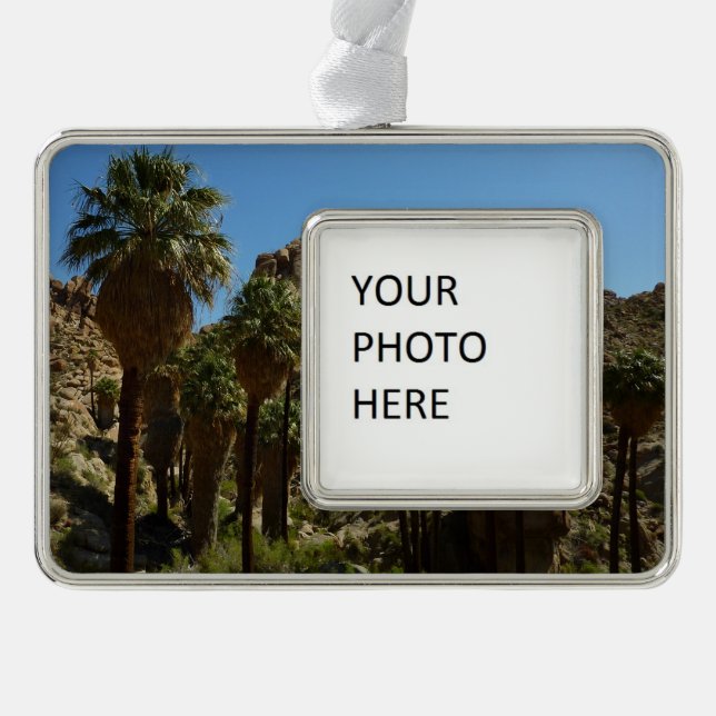 Lost Palms Oasis I at Joshua Tree National Park Rahmen-Ornament Silber (Vorderseite)
