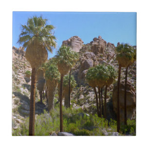 Lost Palms Oasis I im Joshua-Tree-Nationalpark Fliese