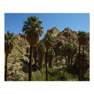 Lost Palms Oasis I im Joshua-Tree-Nationalpark Fotodruck