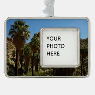 Lost Palms Oasis I im Joshua-Tree-Nationalpark Rahmen-Ornament Silber