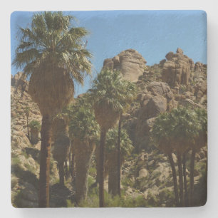 Lost Palms Oasis I im Joshua-Tree-Nationalpark Steinuntersetzer