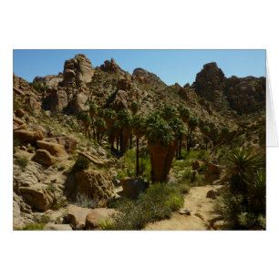 Lost Palms Oasis II im Joshua Tree National Park