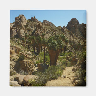 Lost Palms Oasis II im Joshua Tree National Park Magnet
