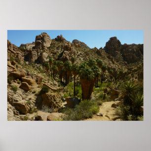 Lost Palms Oasis II im Joshua-Tree-Nationalpark Poster