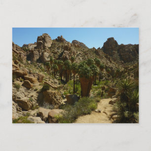 Lost Palms Oasis II im Joshua-Tree-Nationalpark Postkarte