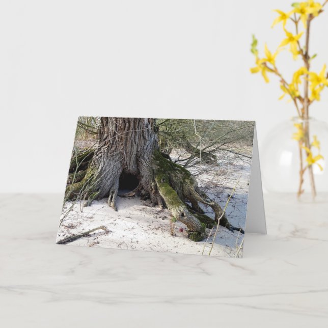 Lost Places , alter Baum am Ufer des Flusses Karte (Gelbe Blume)
