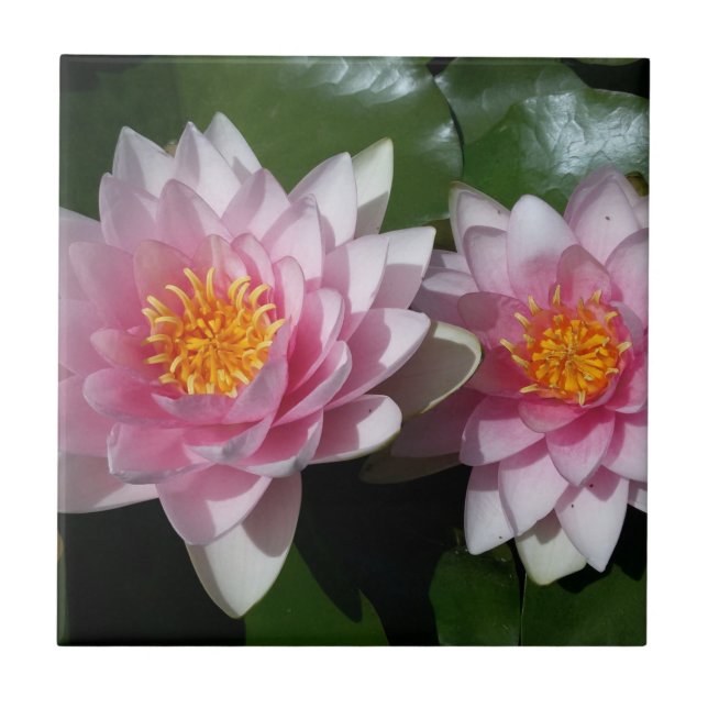 Lotos-Blume Fliese (Vorderseite)