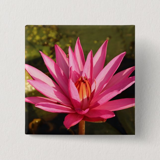 Lotos-Blume in der Natur Button (Vorderseite)