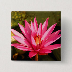 Lotos-Blume in der Natur Button