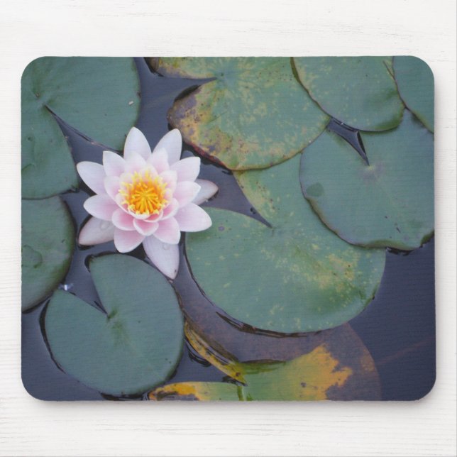 Lotos-Blume Mousepad (Vorne)