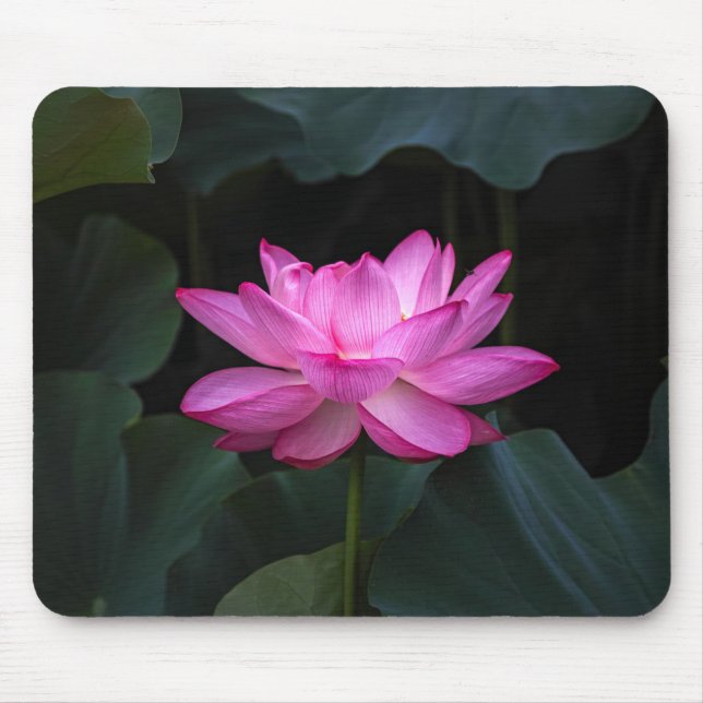 Lotos-Blume Mousepad (Vorne)