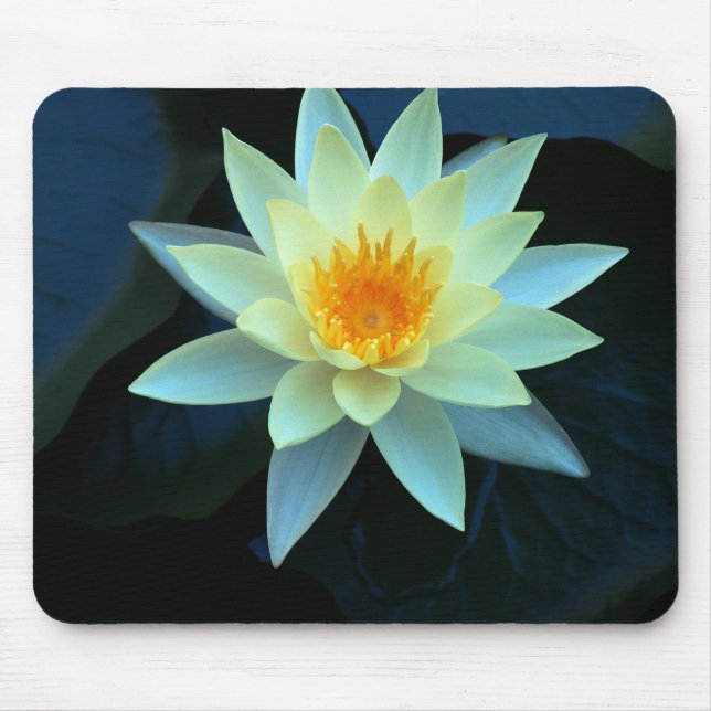 Lotos-Blumen-Power Mousepad (Vorne)