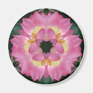 Lotos-Sternexplosion Magnet