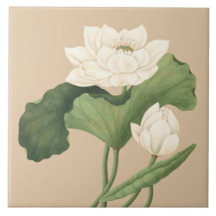 Lotosblume der ostindischen botanischen Kunst Fliese