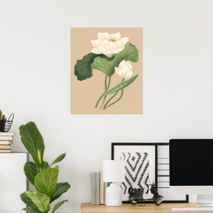 Lotosblume der ostindischen botanischen Kunst Poster