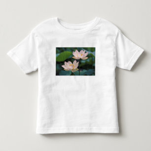 Lotosblume in Blüte, China Kleinkind T-shirt
