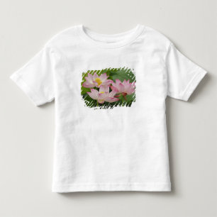 Lotosblume, Nelumbo nucifera, China 2 Kleinkind T-shirt