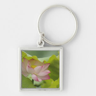 Lotosblume, Nelumbo nucifera, China Schlüsselanhänger